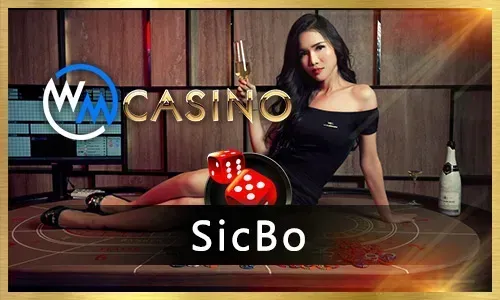 New Slot Game Release